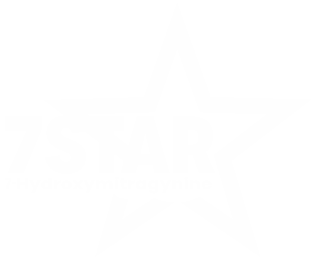 7-STAR official logo